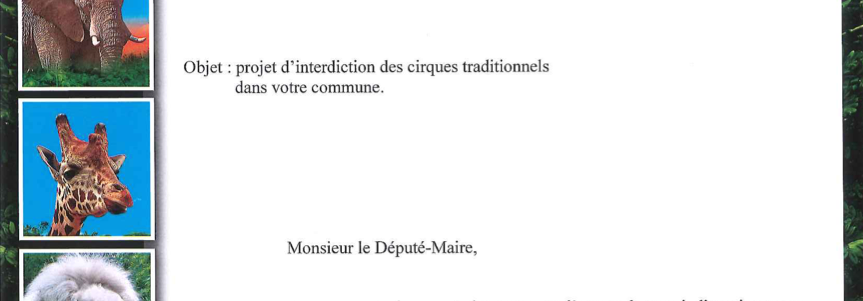Quand les défenseurs de la cause animale sont traités d'extrémistes par un directeur de zoo