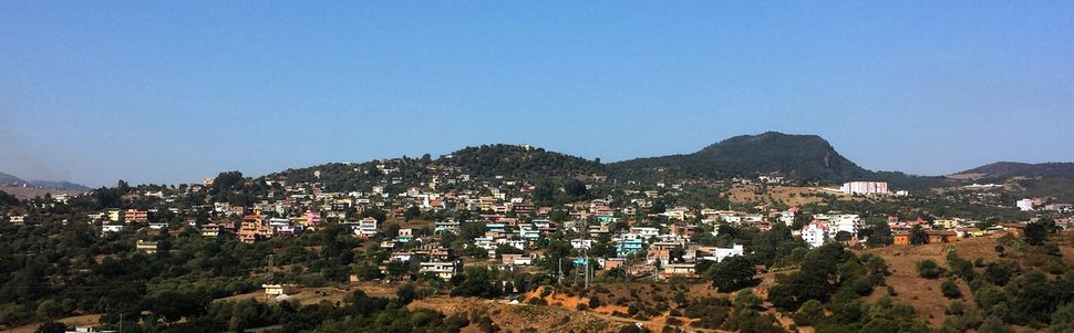 Ouled Ali