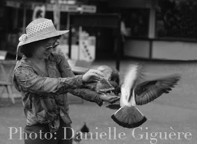 Pourquoi nourrir ou ne pas nourrir les pigeons, chats et autres animaux domestiques abandonnés ne change pas leur nombre.