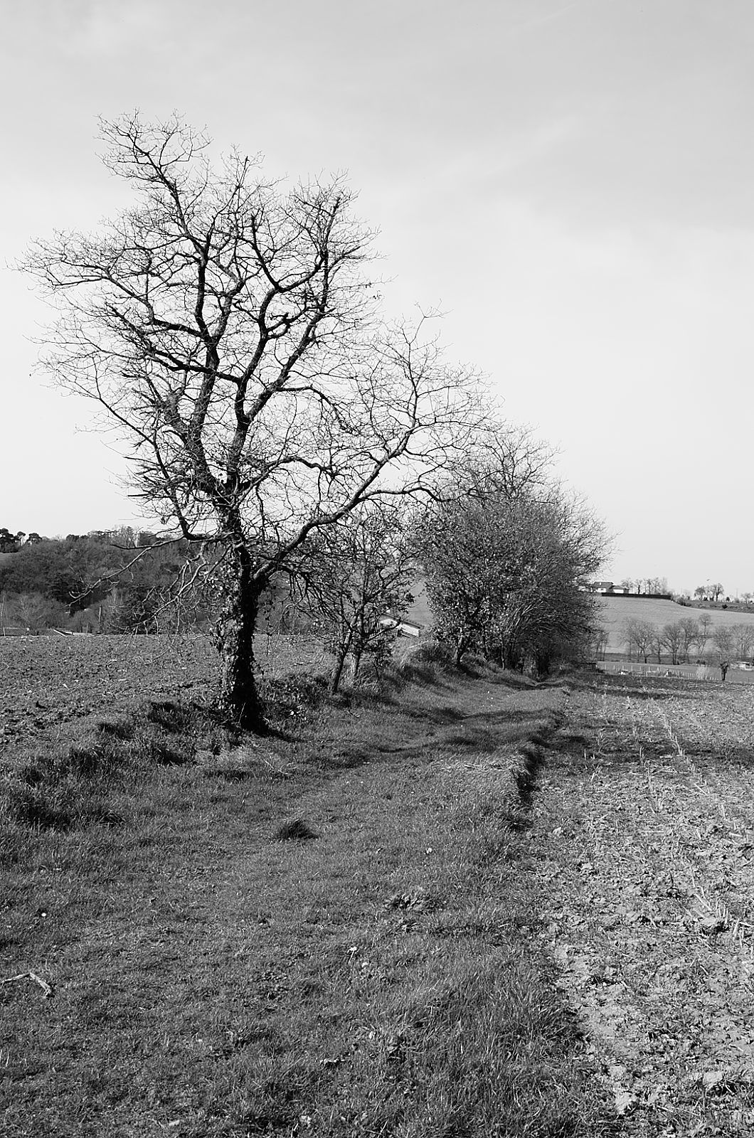 En chemin