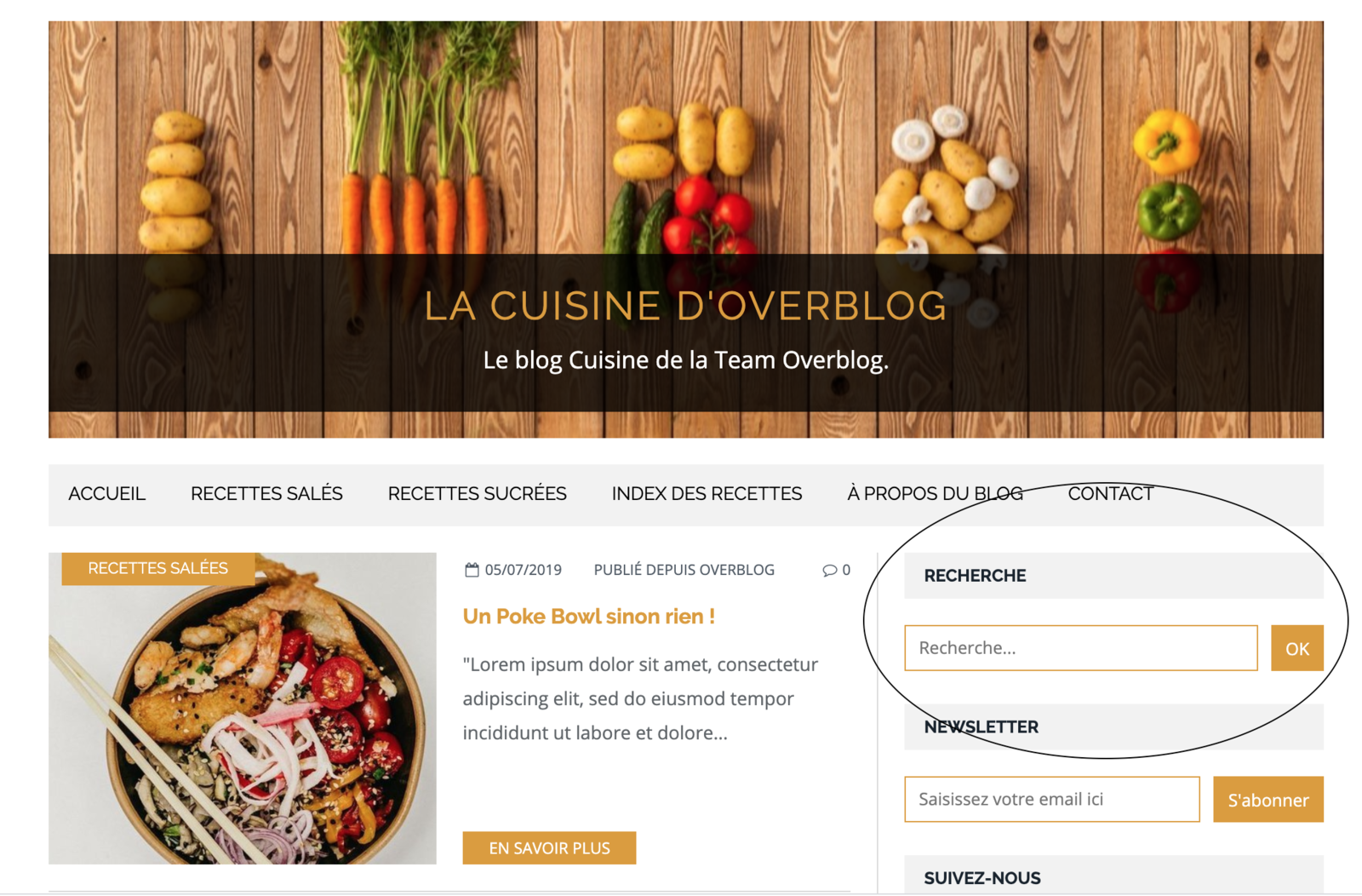 La barre de recherche sur Overblog