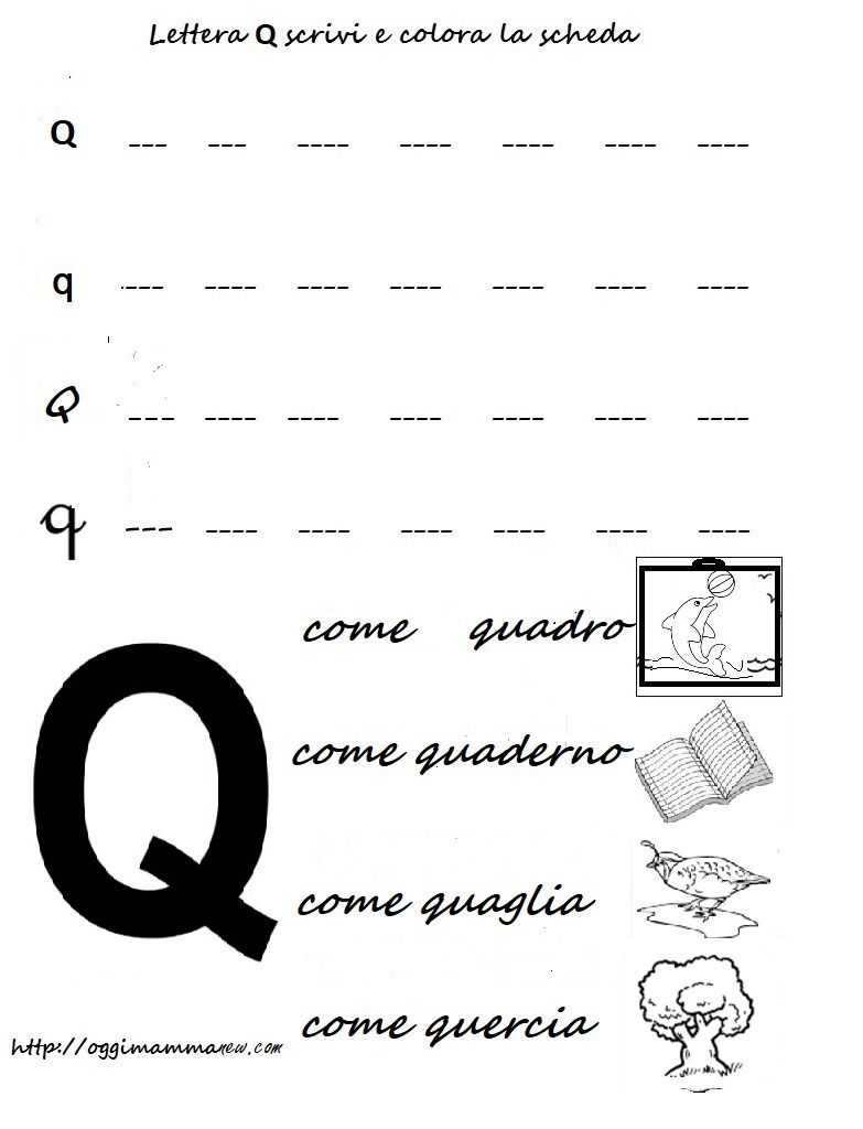 Lettera Q come quadro, quaderno, quaglia e quercia