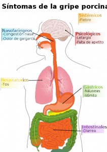 Imagen de la wikipedia
