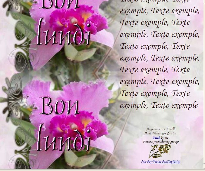 Bon Lundi Orchidee Incredimail Papier H L Outlook Enveloppe 2 Cartes A5 Signets Bon Lundi Orch 00 Angelina Bessard Overblog Com Angelinascreations