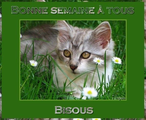 Bonne semaine à tous ! - lagazettedemelodie68.overblog.com