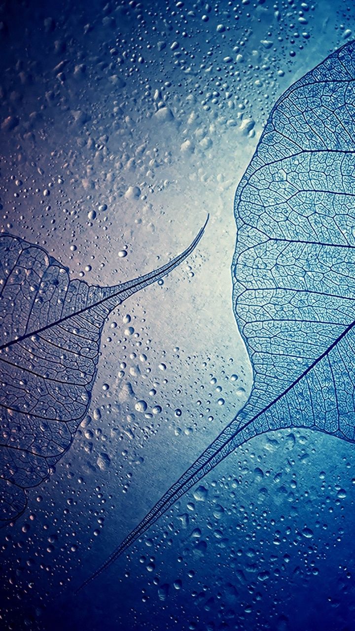 Papel De Parede Celular Lg K10 Tuttocelularoverblogcom