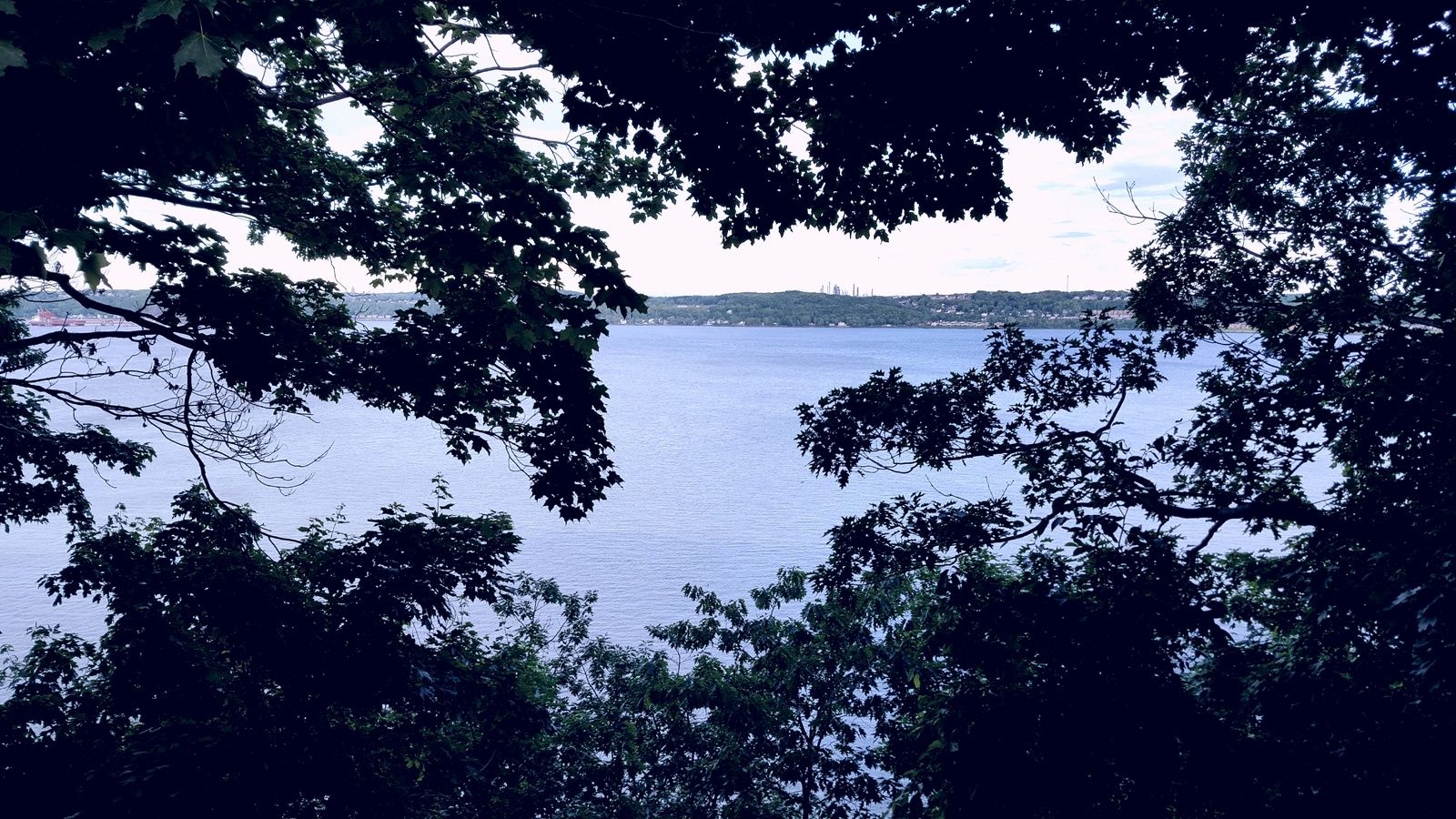 photo salope en chaleur salope nancy photo salope en chaleur salope nancy