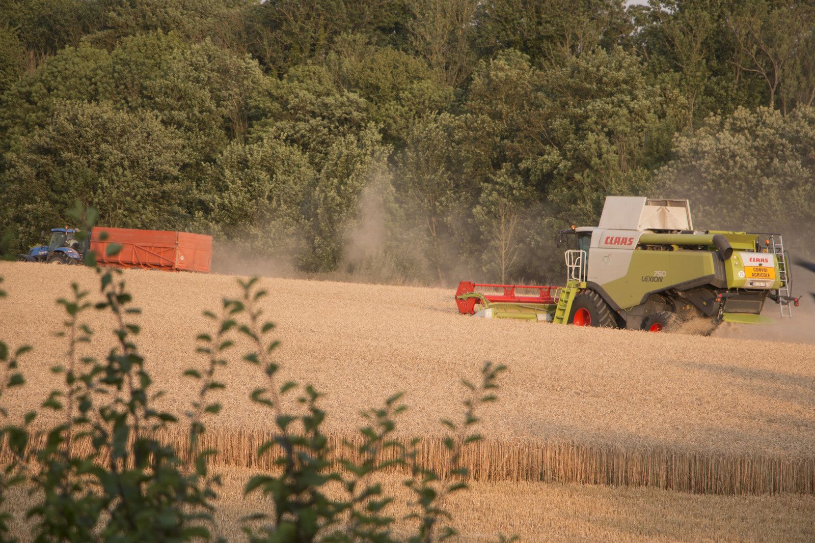 Avis Sur Les Moissons Du Printemps Les moissons battent leur plein sur Remaucourt. - Brunoderemaucourt.