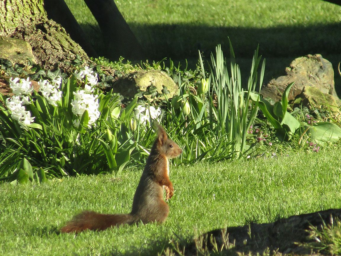 Petit moment de grâce, dans le jardin de Claire B ...