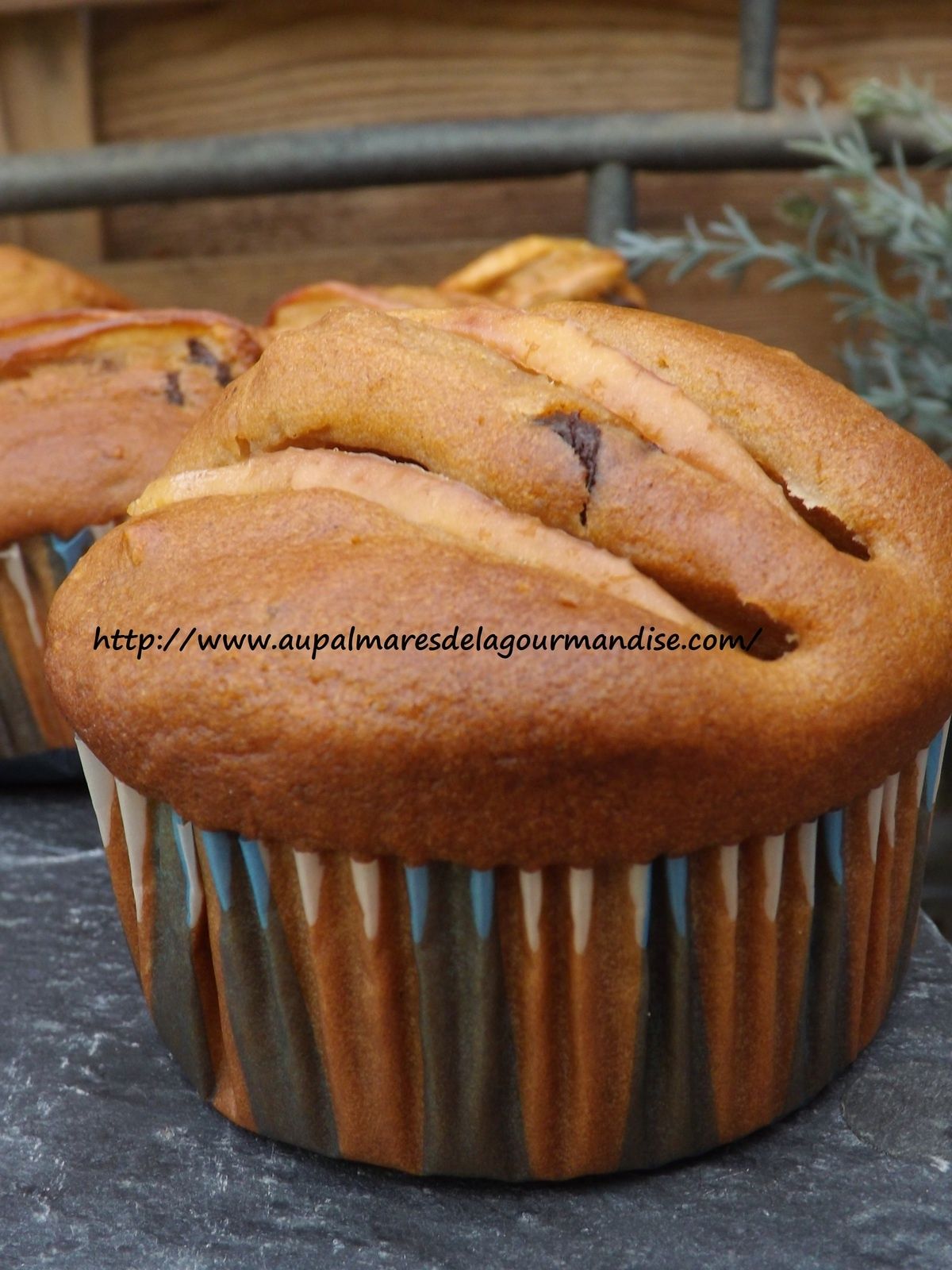 Delicieux muffins aux pommes,pépites de chocolat. IG BAS . Healthy. Végétarien ou pas...