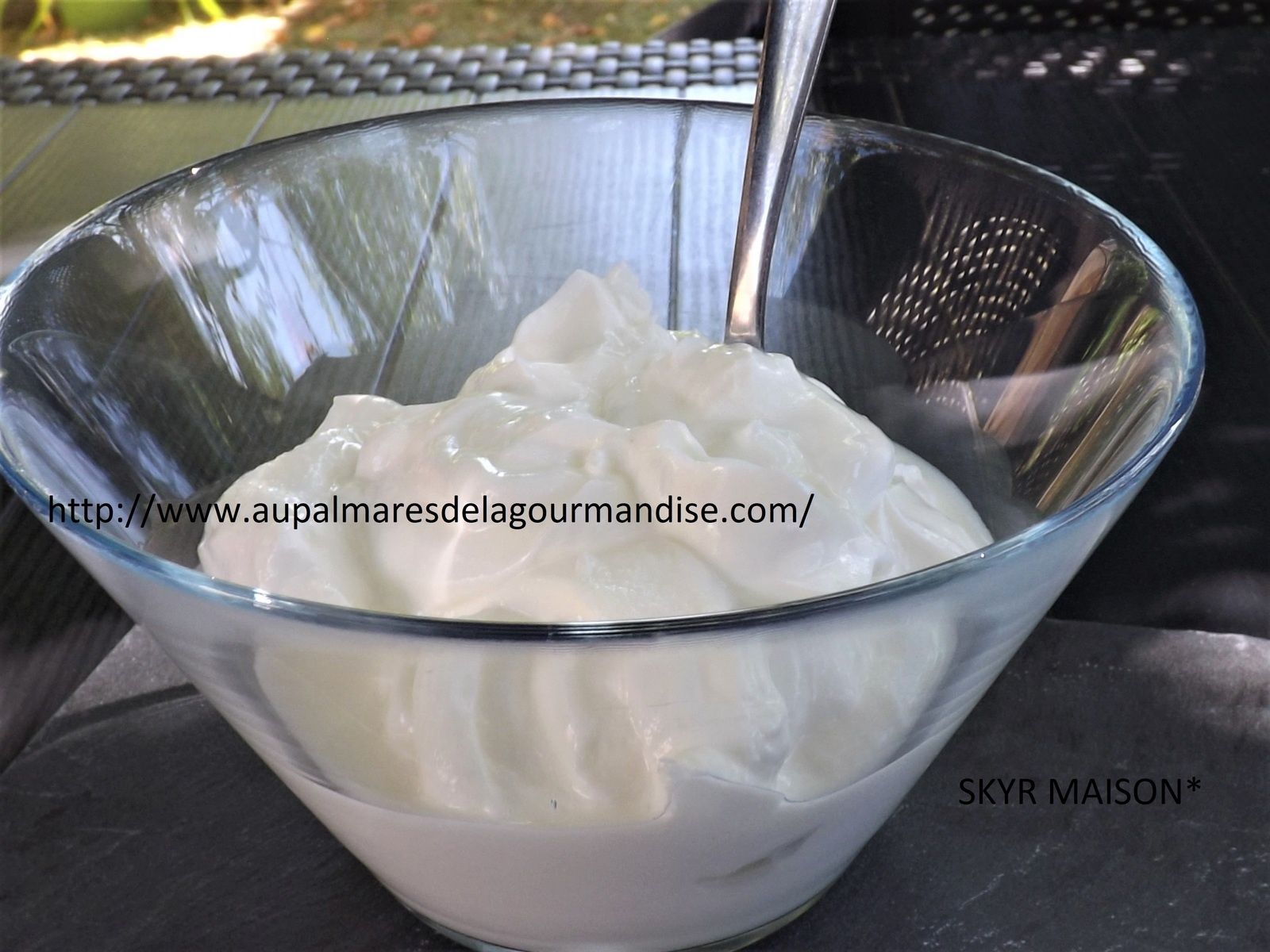 Faire son SKYR Maison *IG Bas* WW* Weight Watchers* Healthy* - Au palmares  de la gourmandise