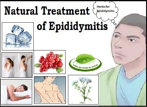 Natural Cure For Epididymitis 83