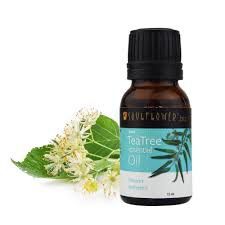 Tea Tree Essential Oil for Actinic Keratosis