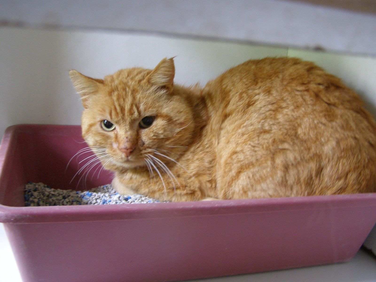 adolescent serre chatte humide adolescent serre chatte humide