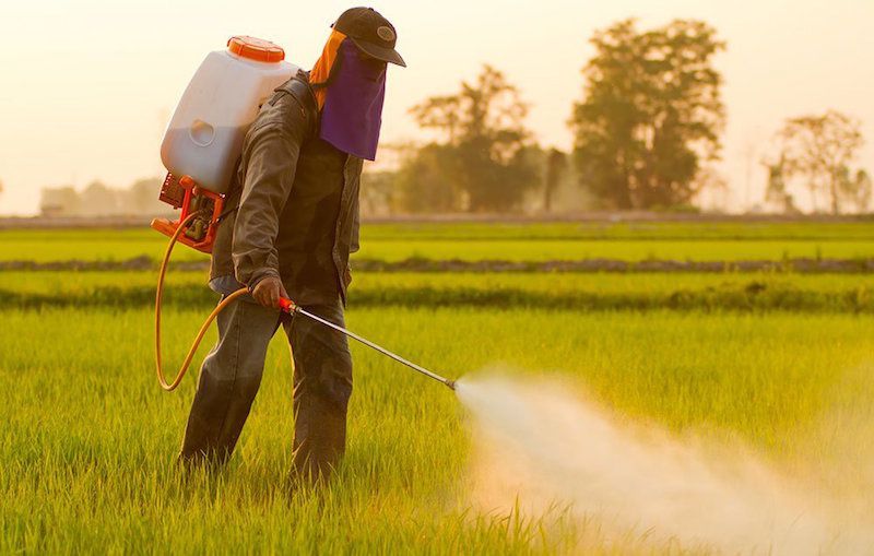 Pesticides et AMM:les incertitudes