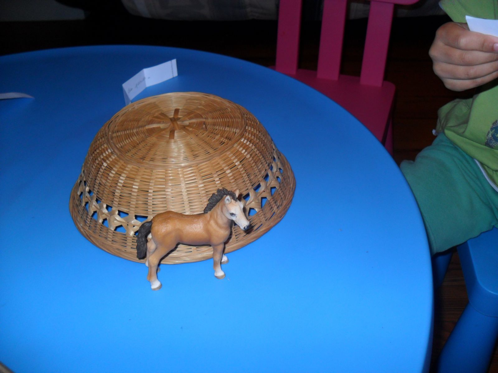 "Mets le poulain contre le panier".