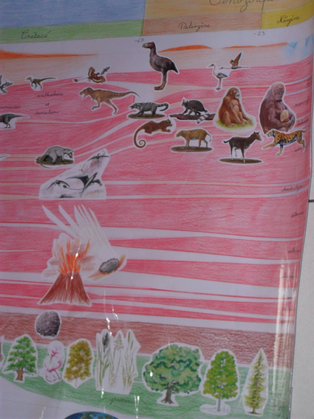 Les animaux commencent à voler (famille des ptérosaures : le plus grand (et accessoirement le plus connu) : le ptéranodon). Des météorites s'abattent sur la terre, des volcans entrent en éruption : c'est la fin des dinosaures. Les animaux qui étaient obligés de se cacher face à ces redoutables prédateurs, peuvent vivre plus tranquillement. Ils se développent donc. Ce sont les ancêtres de nos animaux actuels (exemple : le cheval). Apparaissent aussi les ancêtres des hommes : les singes. Fin du grand récit.