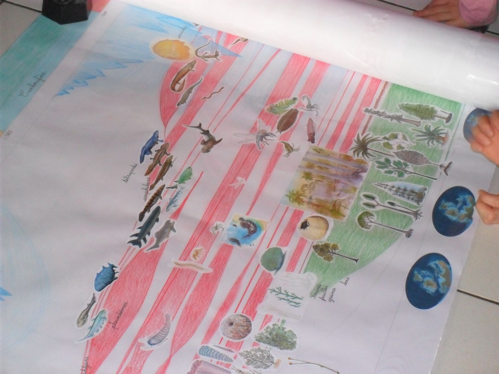 Le gros "rond jaune" en haut de la frise : apparition des premiers oeufs (coquille dure, eau à l'intérieur). Ici, c'est une période de végétation dense : les plantes "se dressent", il y a beaucoup d'insectes (les libellules font 70 cm).