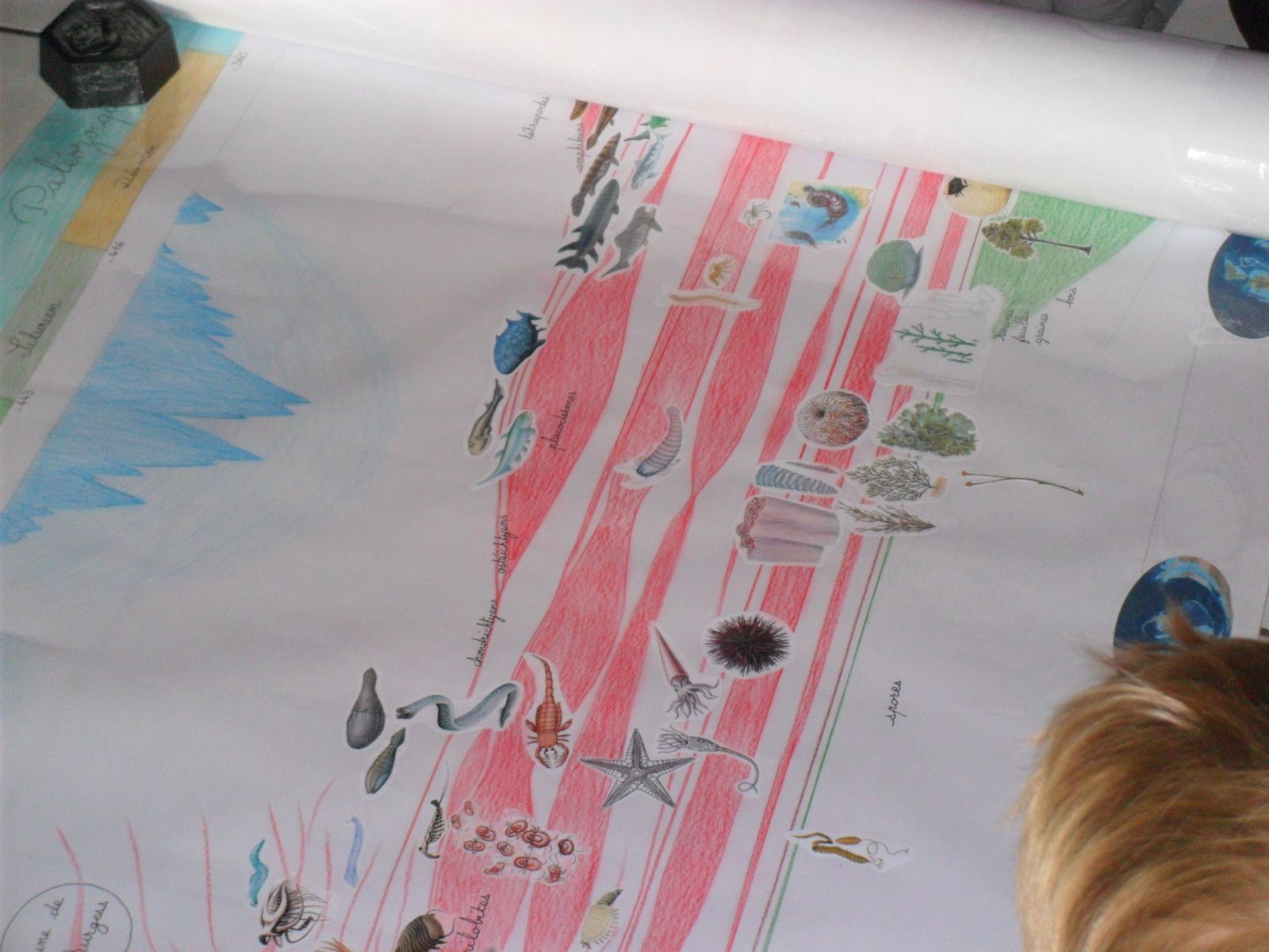 Deuxième grand récit Montessori