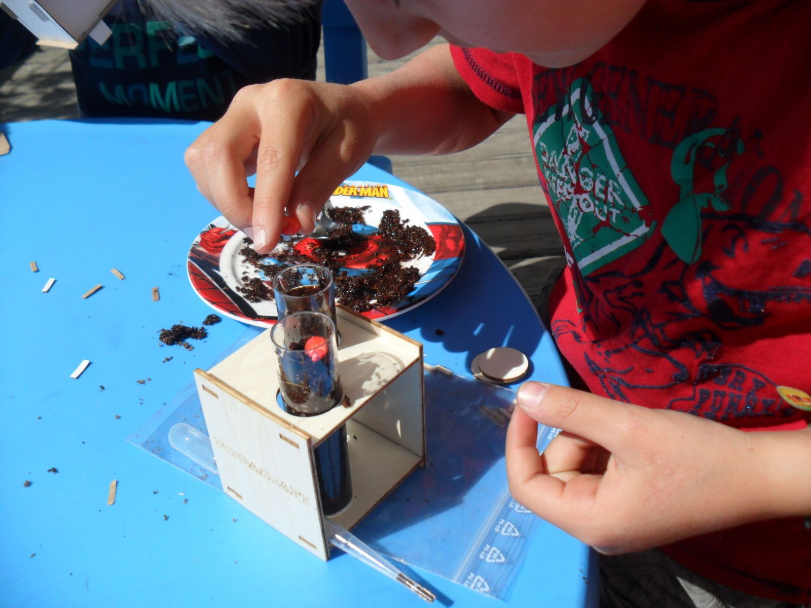 Lucas plante les graines.