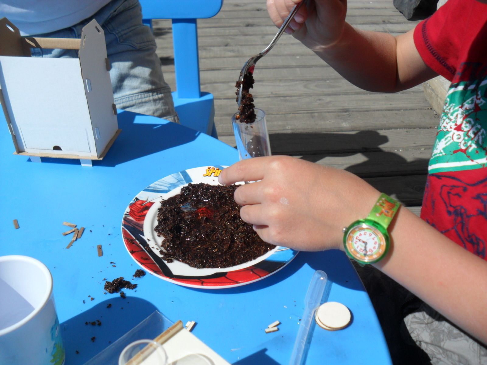 Pandacraft : Protège la planète.