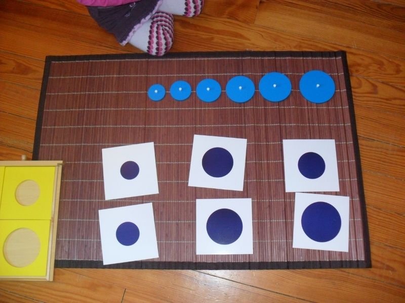 Elle classe ensuite les cercles du plus grand au plus petit.