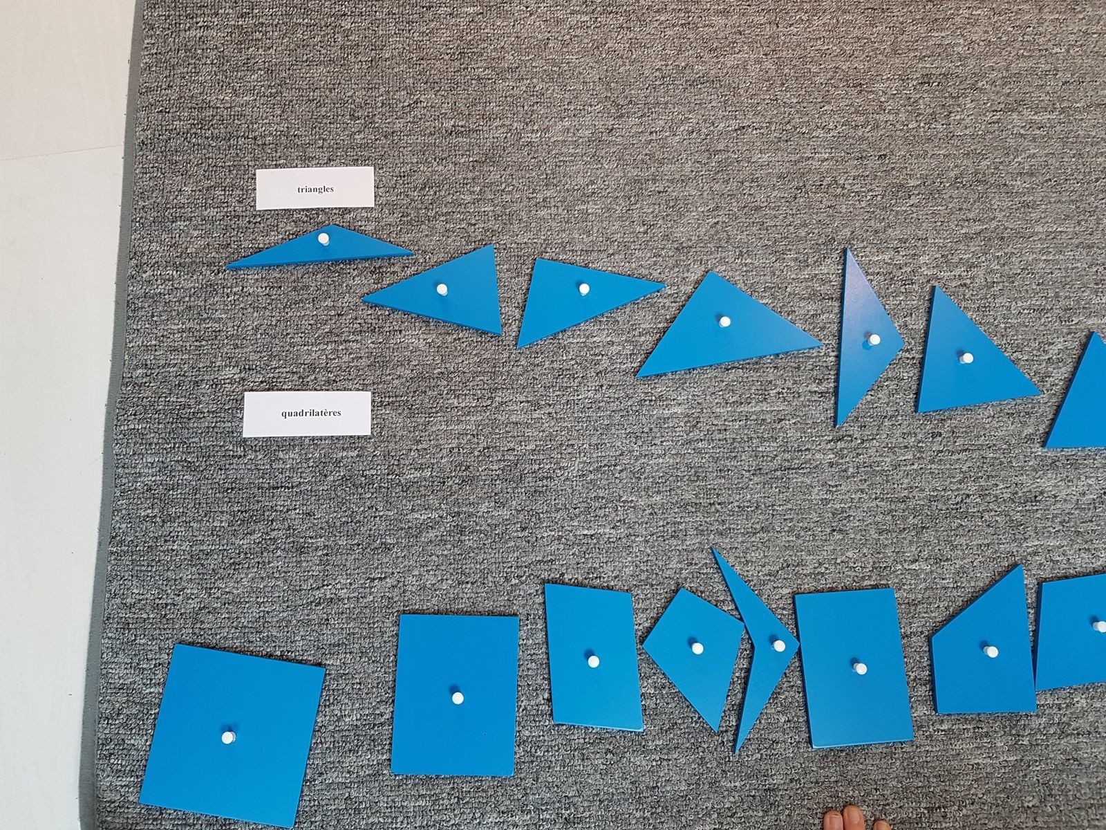 symétrie d'un polygone de pétrie ? 8 côtés