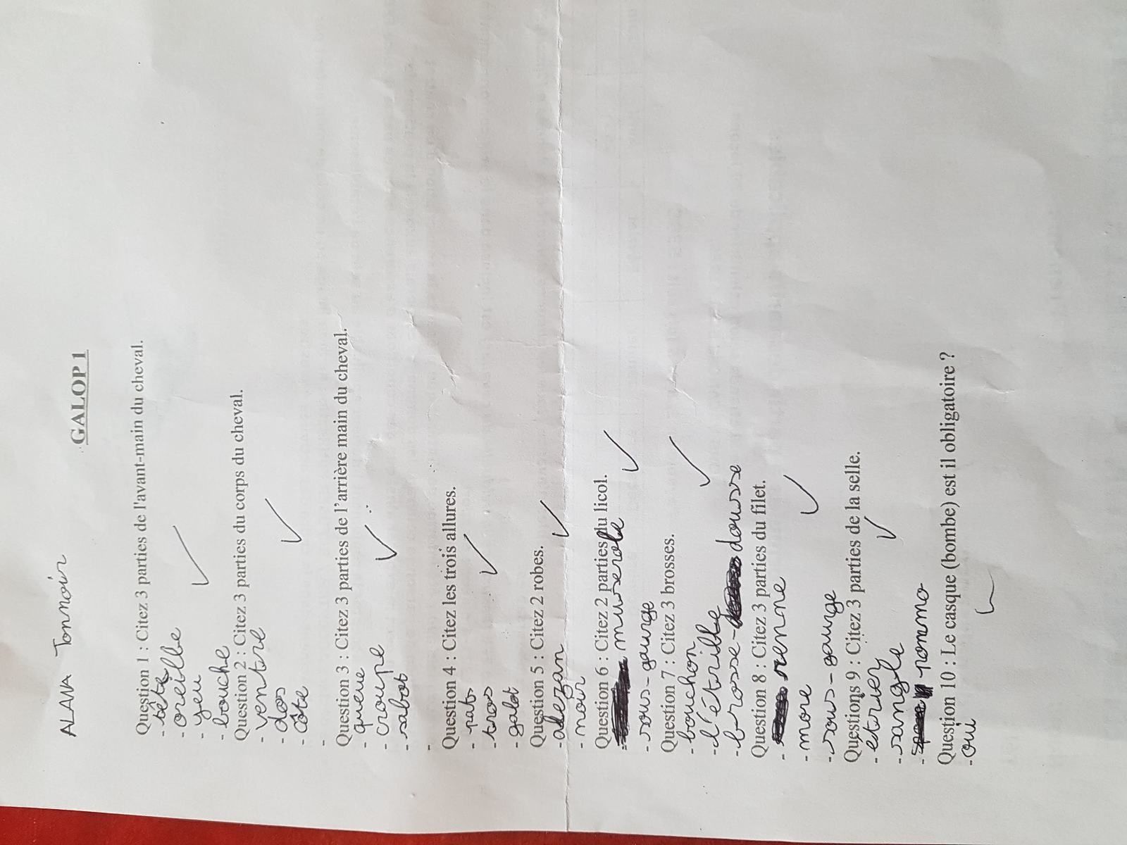 Préparer le galop 1