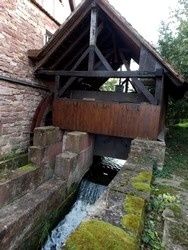 Remonter l’ Ehn et déguster une tourte aux cèpes