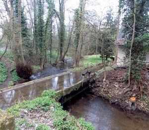 Les anciens moulins d’Obernai