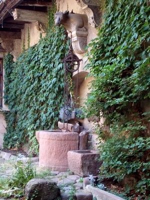 Les vieux puits d’Obernai