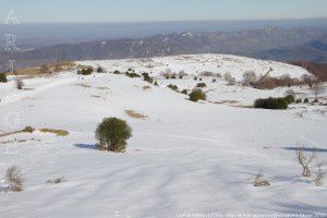 Le Prat d'Albis (1211m)