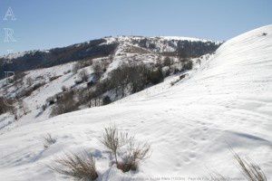 Prat d'Albis vu du cap Blanc (1203m)