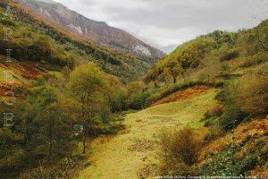 Vallée d'Orle (820m)