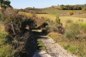 Chemin de Besset