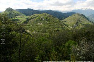Fôret de Bélesta vue de la croix du Millet