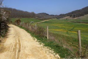 Chemin