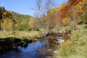 Ruisseau de Lavail (1350m)