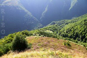 Montée à la cabane de l'Arech (1320m)