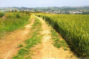 Chemin des moulins de la Garde