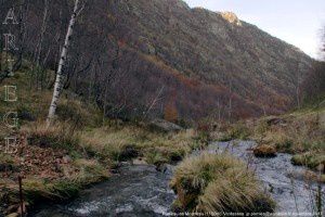 Ruisseau de Mounicou (1150m)