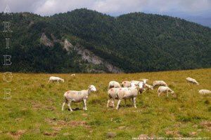 Jasse de la Taula (1640m)