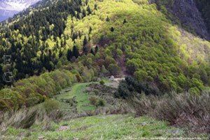 Col d'Osque (1404m)