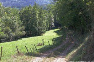 Sentier - Le Pouech