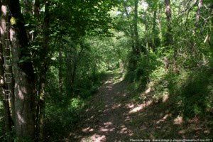 Chemin de Jany