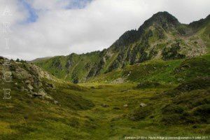 Embizon (2100m)