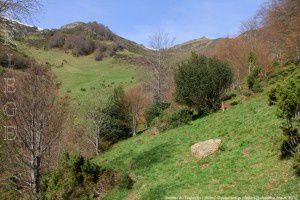 Sentier du Trapech (1350m)