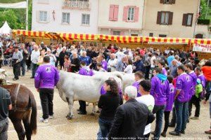 Foire de la Saint-Michel - Tarascon-sur-Ariège