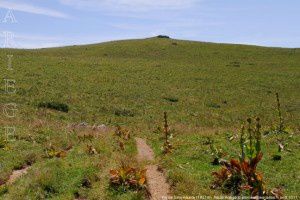 Pic de Sérembarre (1851m)