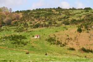 Cabane de Tessoula (1520m)